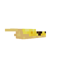 Lesma-banana — pelagem 1