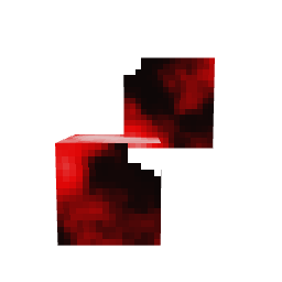 Golem-grande — pelagem 3
