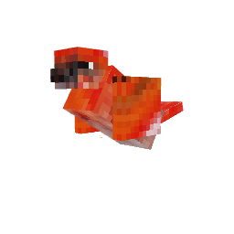 Pássaro — pelagem 3