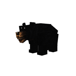 Urso-negro