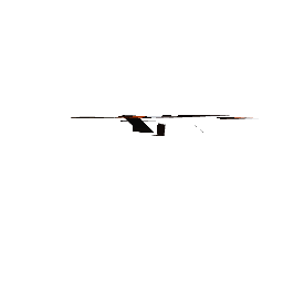 Borboleta — pelagem 2