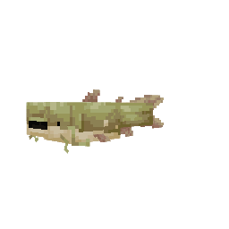 Peixe-gato — pelagem 2