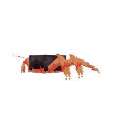 Centopeia