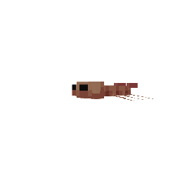 Barata