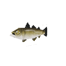 Bacalhau