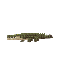 Crocodilo
