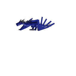 Dragão-Relâmpago