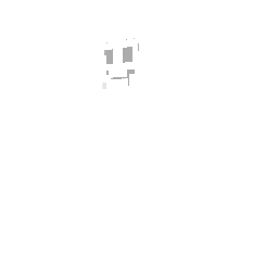 Fantasma