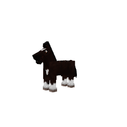 Cavalo — pelagem 27