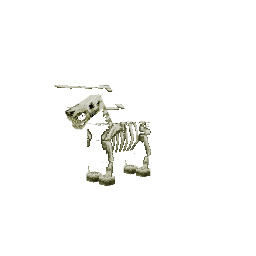 Cavalo — pelagem 83