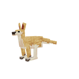 Canguru