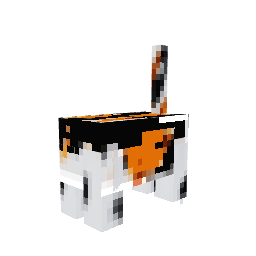 Gato — pelagem 2