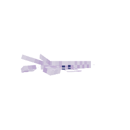 Lagosta — pelagem 4
