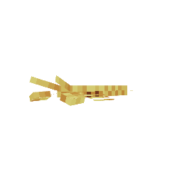 Lagosta — pelagem 5