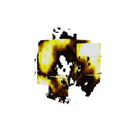 Golem-pequeno — pelagem 4
