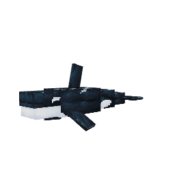 Orca — pelagem 1