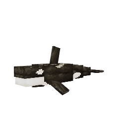 Orca — pelagem 2
