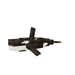 Orca — pelagem 3