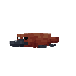 Ornitorrinco