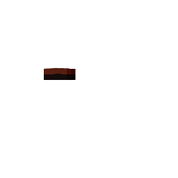Ornitorrinco — pelagem 1