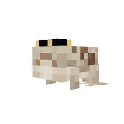 Sapo-da-chuva