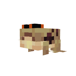 Sapo-da-chuva — pelagem 2