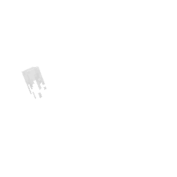 Rinoceronte — pelagem 2