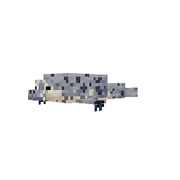 Foca