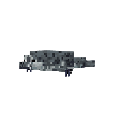 Foca — pelagem 1