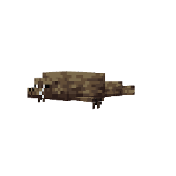 Foca — pelagem 3