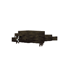 Foca — pelagem 4