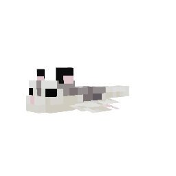 Petauro