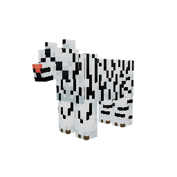 Tigre — pelagem 5