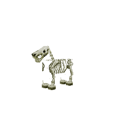 Cavalo selvagem — pelagem 88